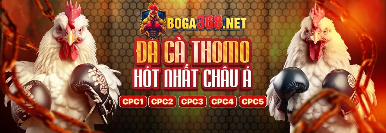 Hình ảnh minh họa lợi ích khi đọc blog 789b link